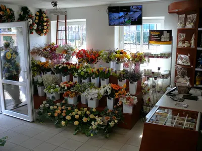 ATENA III - Usługi pogrzebowe